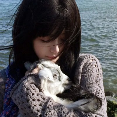 龙骑士2022