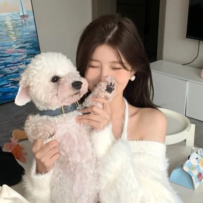 有意求凰